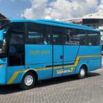 MEDIUM BUS