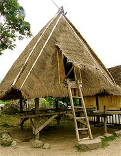 desa donggo