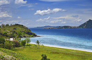 gili lampe