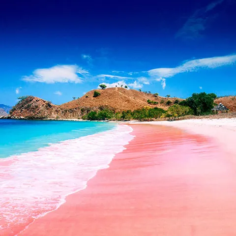 pink beach