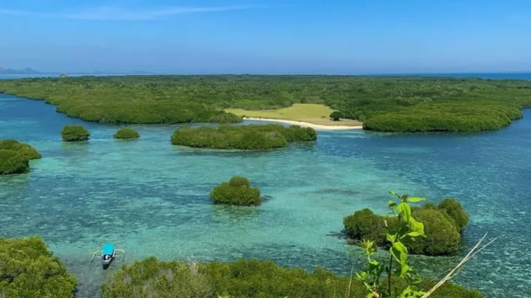 pulau kambing